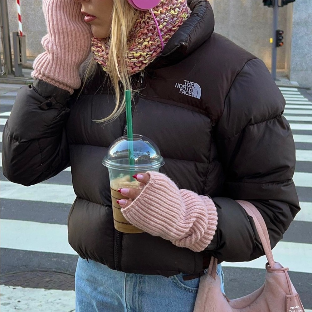 North Face 700 Nuptse Brown Puffer